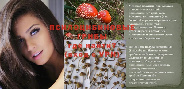 амф Балабаново