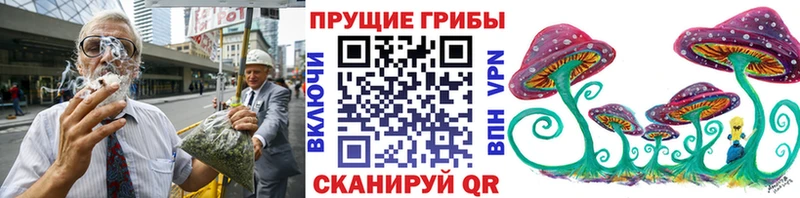 дарнет шоп  Серафимович  Псилоцибиновые грибы GOLDEN TEACHER 